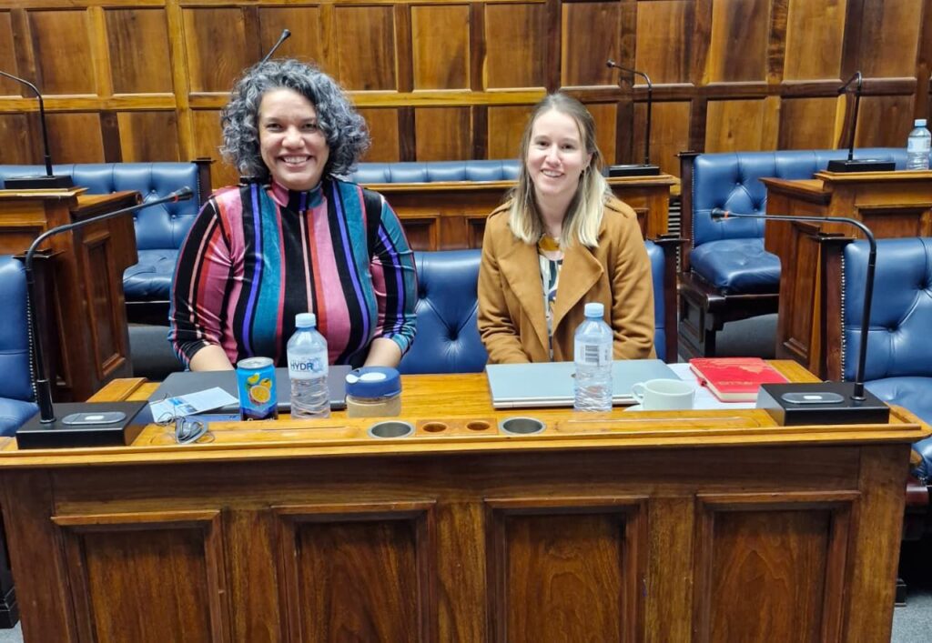 SWIFT team briefs Western Cape Parliament on scaling digital parenting support